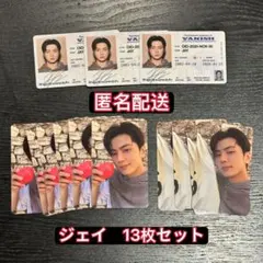 ENHYPEN ジェイJAY THESIN:VANISH トレカセット 13枚