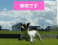 ♡専用です♡
