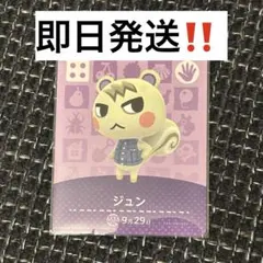 あつ森　amiiboカード　ジュン