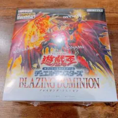 2026年最新】BLAZING DOMINIONの人気アイテム - メルカリ