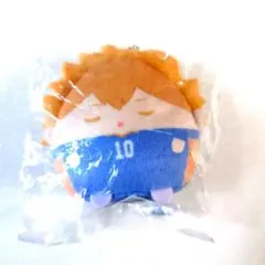 ハイキュー!! くじメイト ぬいくじ E賞 てのりんずコレクション 日向翔陽