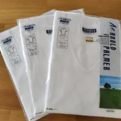 ARNOLD PALMER 半袖U首シャツ Mサイズ 3枚セット L