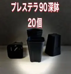 佑介様 リクエスト 2点 まとめ商品