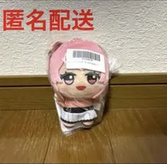 カラフルピーチ のあ ちびぐるみ　22
