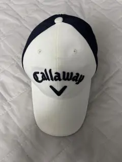 Item thumbnail for item 43b034da-6573-4ece-992d-c2898a6b5b26