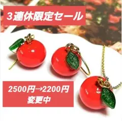 【3連休限定】 2500円 → 2200円に変更中☆
