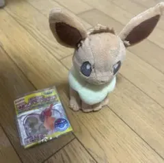 2025年最新】I LOVE イーブイ ぬいぐるみの人気アイテム - メルカリ