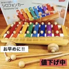 エドインター 知育玩具