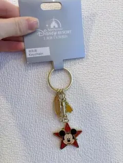 新品未使用 上海ディズニーパーク ミッキー・ドナルド キーホルダー