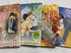 Pure Love Seasons 1〜4セット