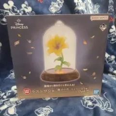 ディズニープリンセス 魔法の花ライ ラストワン賞 B賞ランタン風陶磁器