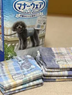 Item thumbnail for item 1006400b-7be4-4d13-a604-0717106563e4