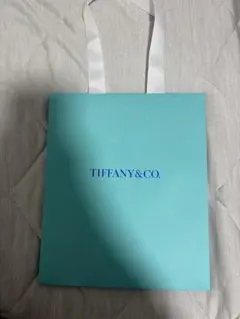 Tiffany & Co. ショッパー 空き箱 - メルカリ