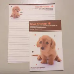 子犬のイラスト入りレターセット