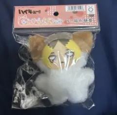ハイキュー ちみけもますこっと 孤爪研磨