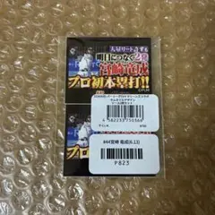 千葉ロッテマリーンズ 宮崎竜成 パテレサムネ シール