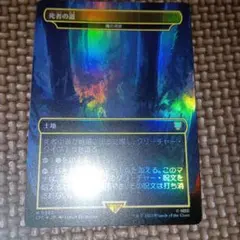 MTG 魂の洞窟 FOIL 日本語 指輪物語 拡張のサムネイル