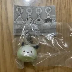 めじるしアクセサリー　なりきりまん　ポチャッコ