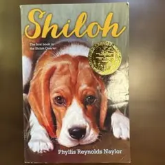 Item thumbnail for item 1c78ffcd-79af-4aa8-bb83-fe0f0229a3eb