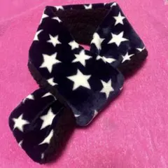 Item thumbnail for item e1c08034-e18f-4879-8631-adec72d142e3