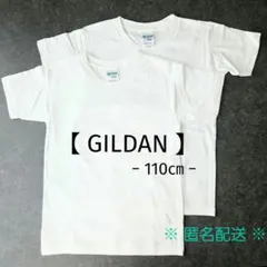 新品【 GILDAN 】プレミアムコットン Tシャツ 110㎝ 白 2着セットのサムネイル