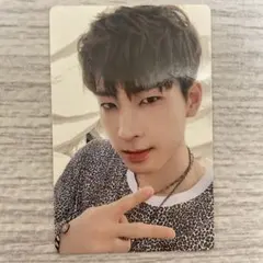 SEVENTEEN An Ode ウォヌ Real トレカ