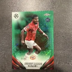 SHURANDY SAMBO PSV RC 61/99