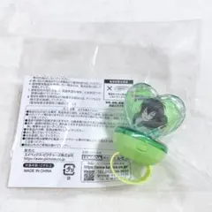 キンプリ　香賀美タイガ　光るプリズムストーン風リングライト　キンツア　リンライ