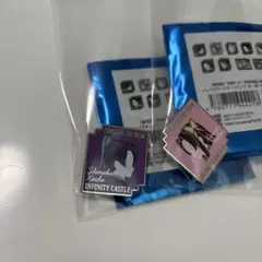 胡蝶姉妹 ピンズ 胡蝶しのぶ 胡蝶カナヱ