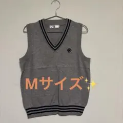 新品✨Mサイズ✨グレー Vネック ノースリーブ スクールベスト