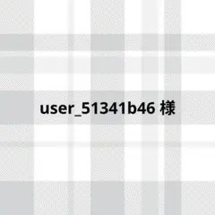 user_51341b46様