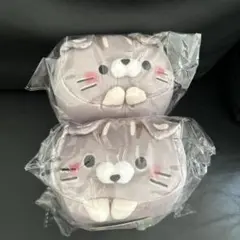 猫*士様 もちふわ！ ころころにゃんこ 八重山 石垣島 限定 いりおもて