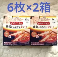 めぐりズム 蒸気でじんわり足シート 6枚入×2箱セットのサムネイル