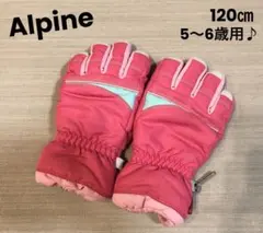 Alpine スノーグローブ 120㎝ 5〜6歳 手袋 防寒 子供 キッズ