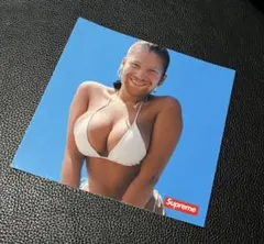 SUPREME Sticker〝Photo type〟シュプリーム ■SP-B