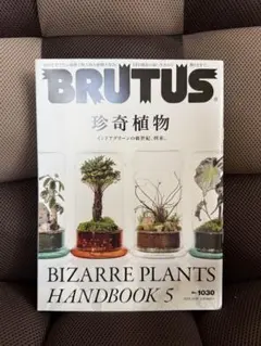 Item thumbnail for item 53ad9815-f670-4f8d-bbf2-dd0b5745c372