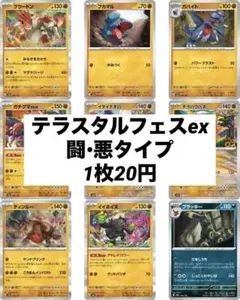 テラスタルフェスex 闘•悪タイプ