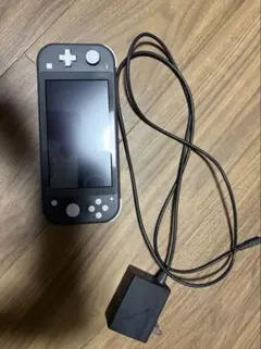 Nintendo Switch Lite 本体 グレー