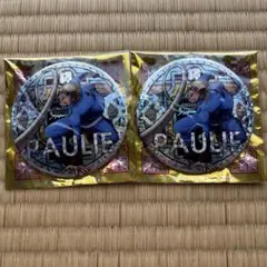 ONE PIECE パウリー 輩缶バッジ 第21弾 SHINE