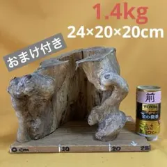 爬虫類のシェルター　切り株　素材　サルスベリ　おまけ付き