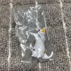 合掌 三毛猫
