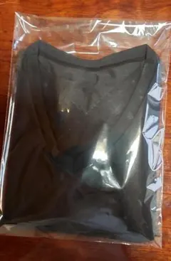 グラントイーワンズBiBiレディース半袖シャツ