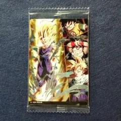 イタジャガ ドラゴンボール vol.8-17 SSR 孫悟飯