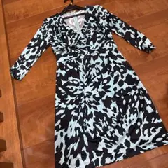 Pinky&Dianne アニマルプリント Vネック長袖ワンピース