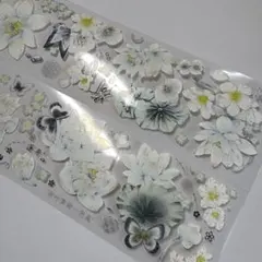 Item thumbnail for item ef74eec4-7139-4e90-af38-c10d9ab58149