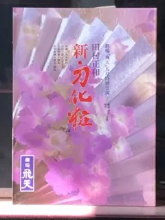 ✨美品✨ 田村正和「新・刀化粧」パンフレット＆チラシ 劇場「飛天」五 