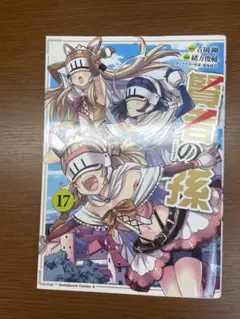 賢者の孫17巻