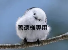 善徳様専用 #95