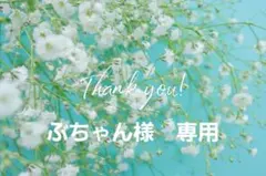 ぶちゃん様　専用