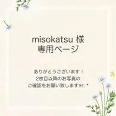misokatsu様 おまとめ3点